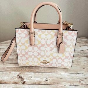 Coach Rainbow Signature C print Maggie tote